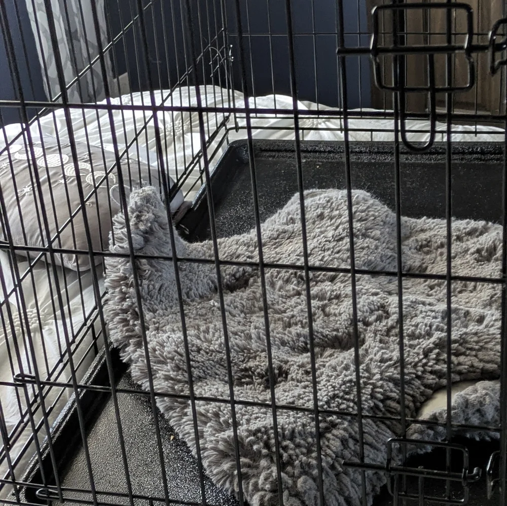 Extra large dog kennel